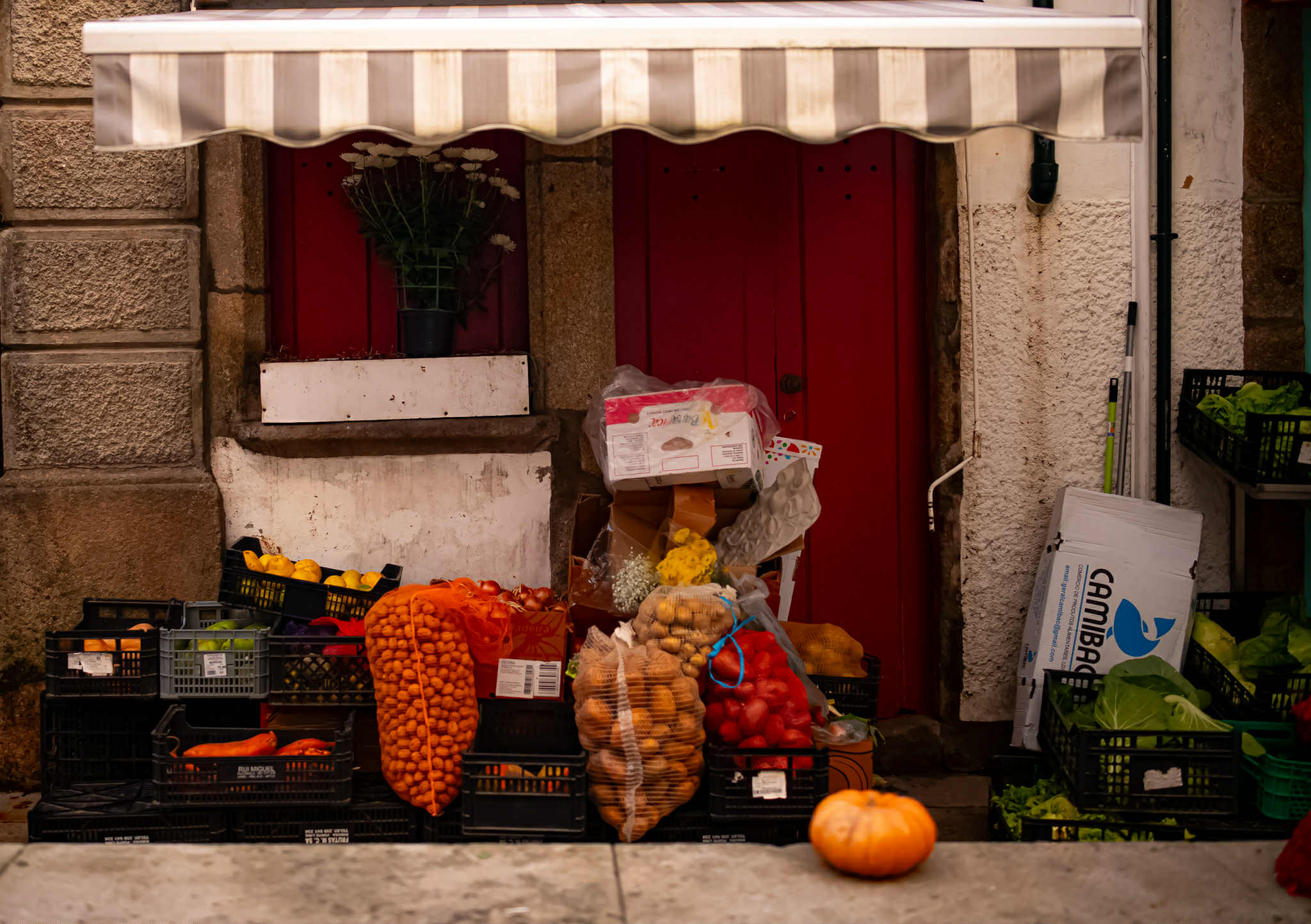 Lifestyle photography